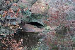 k2p/s/s71656 shotley grove mill race exposed stone arch and brickwork.jpg